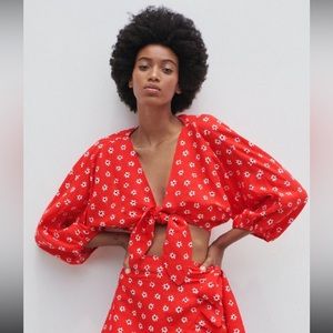 Zara Knotted Crop Top